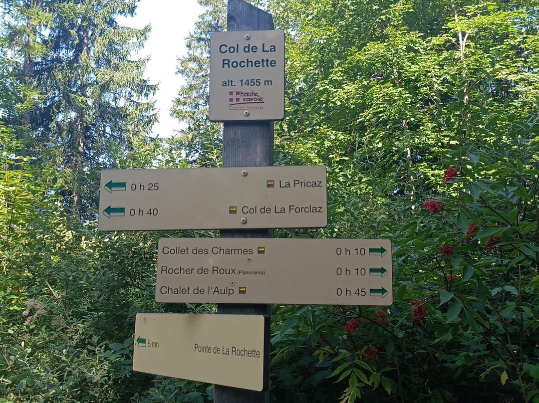 Le Col De La Forciaz-塔卢瓦尔必去景点