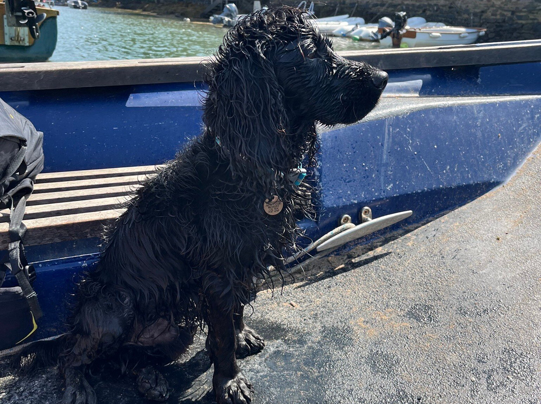 Bantham Beach and estate-Bantham必去景点