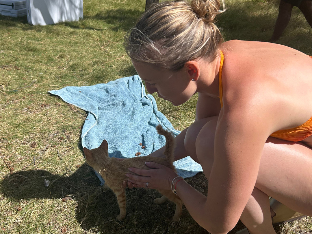 Cat Island (Ile aux chats)-罗德里格斯岛必去景点