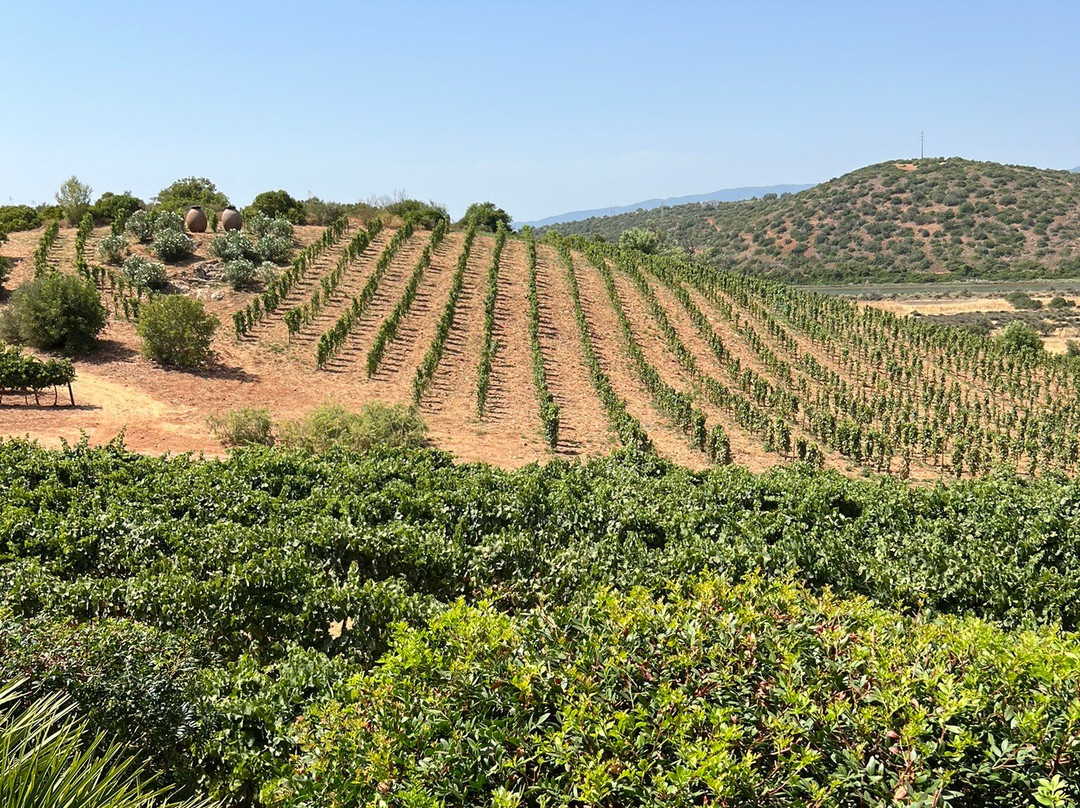 Arvad-Estombar必去景点