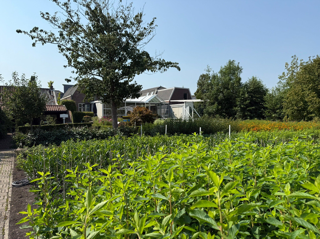 Boomkwekerijmuseum Boskoop-Boskoop必去景点
