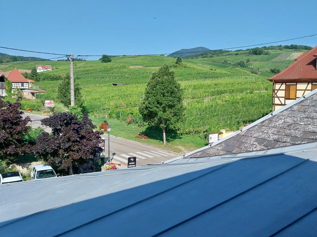 Chambre D'hotes Spitz & Fils主图