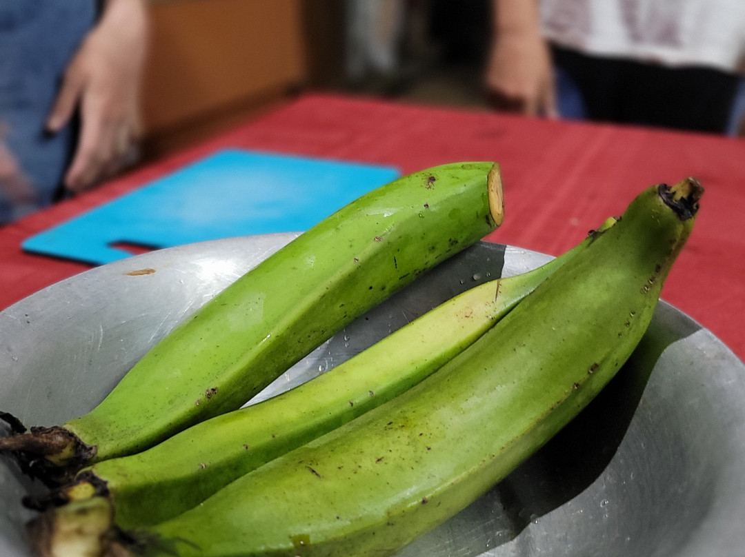 Green Rivers Rafting & Kayaking Company-Puerto Viejo de Sarapiqui必去景点