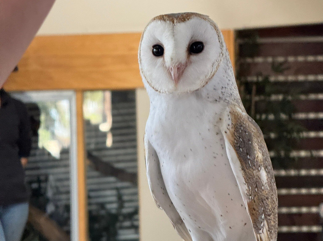Warrnambool Wildlife Encounters-瓦南布尔必去景点