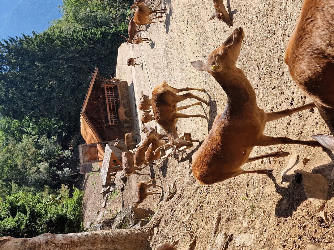 Area Faunistica-Peio Fonti必去景点