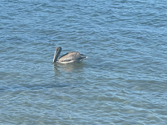 Love Street Outdoor Center-朱庇特必去景点