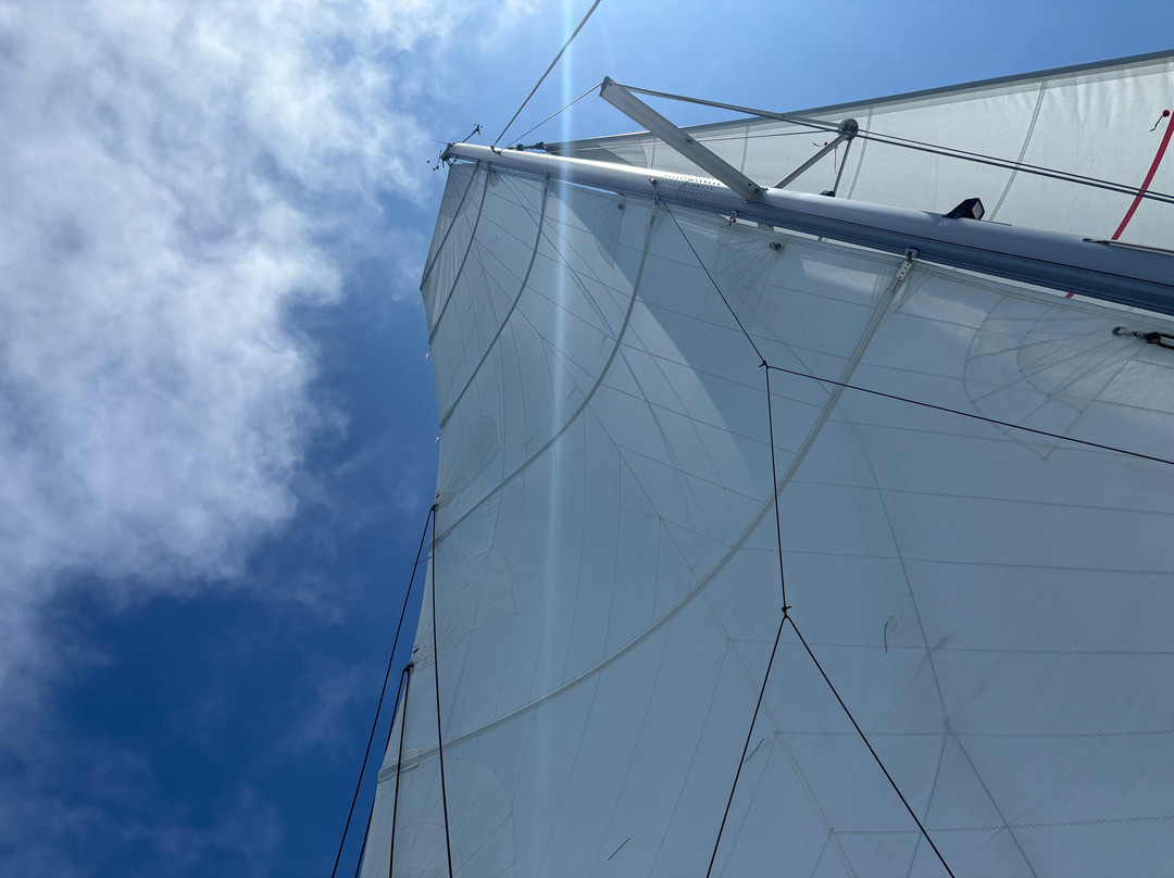 West Coast Multihulls-圣地亚哥必去景点