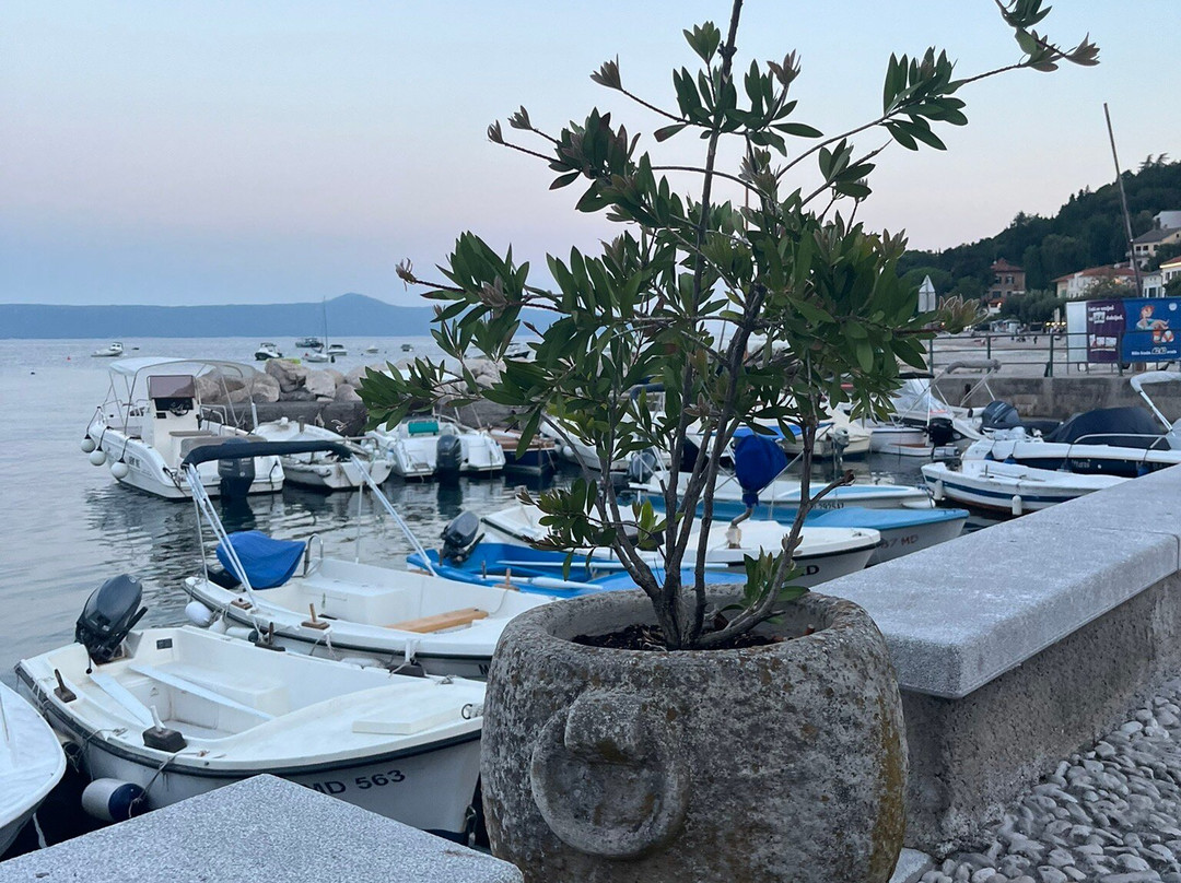 Moscenicka Draga-欧帕提亚必去景点