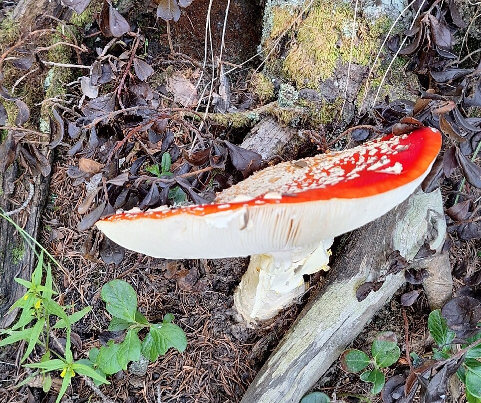 Hotel Truyenhof主图