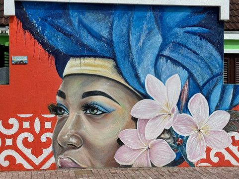 Dundu Tours-威廉斯塔德必去景点