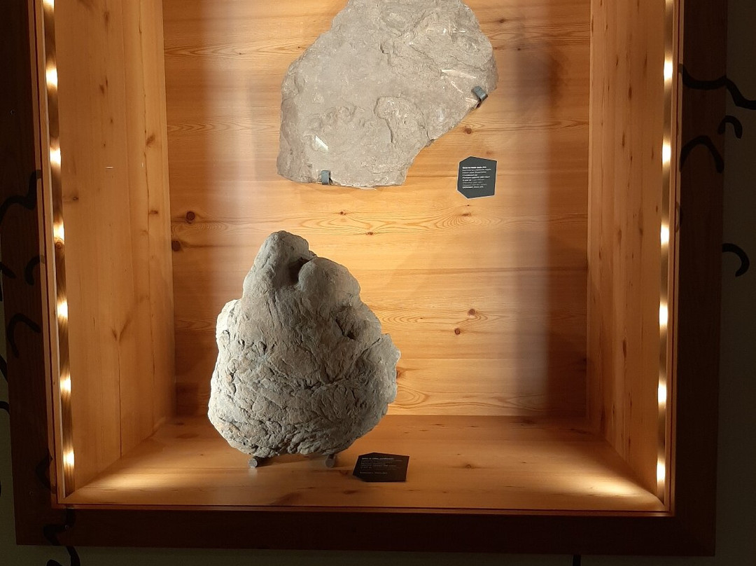 Geological Museum of the Dolomites-普雷达佐必去景点