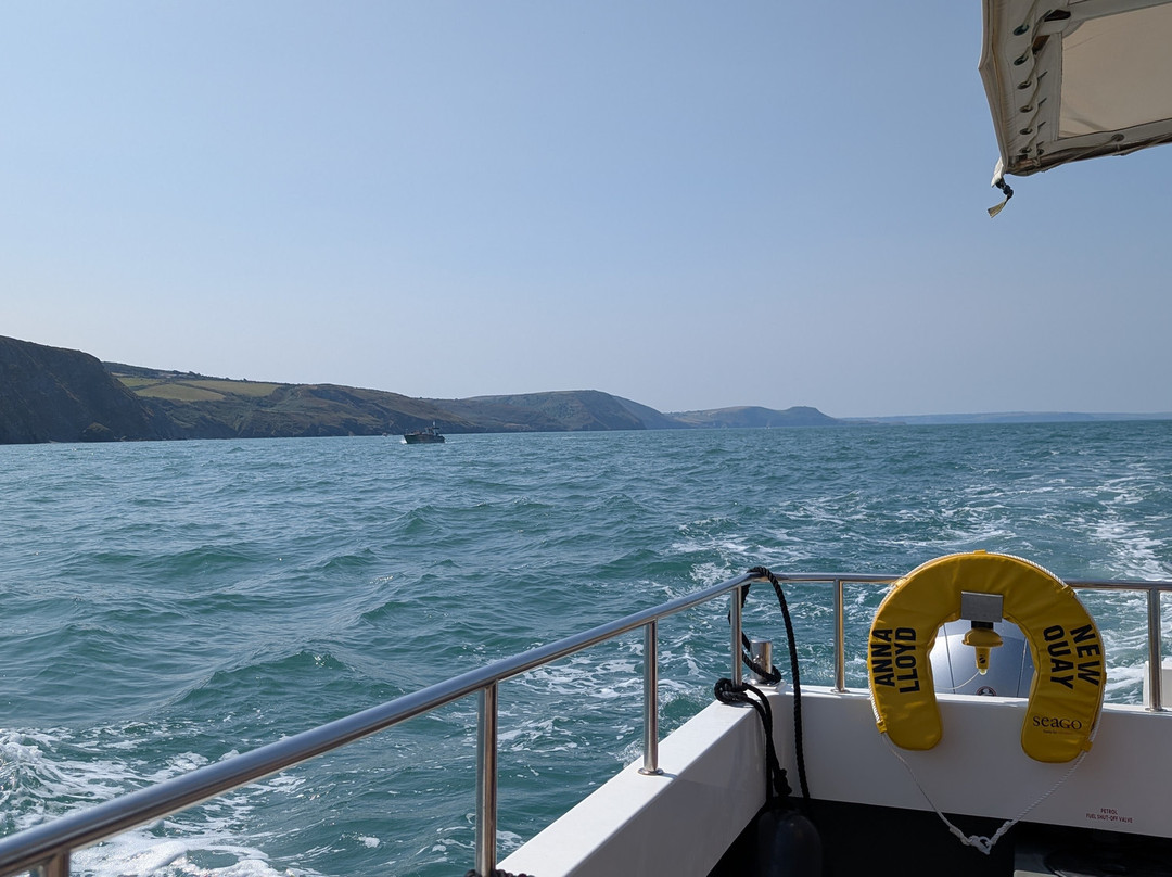 Dolphin Survey Boat Trips-纽基必去景点