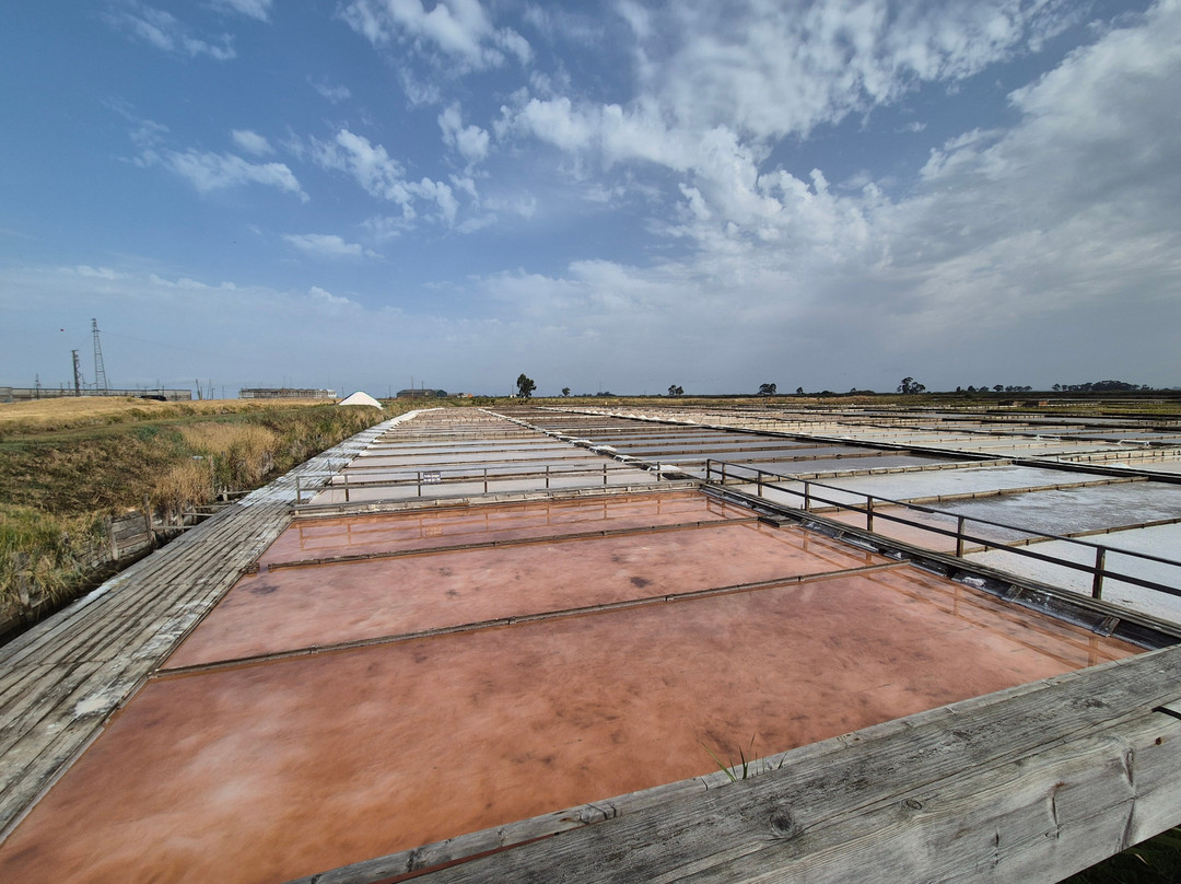 Marinha da Noeirinha-阿威罗必去景点