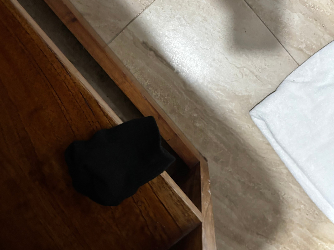 La Gran Tortuga主图