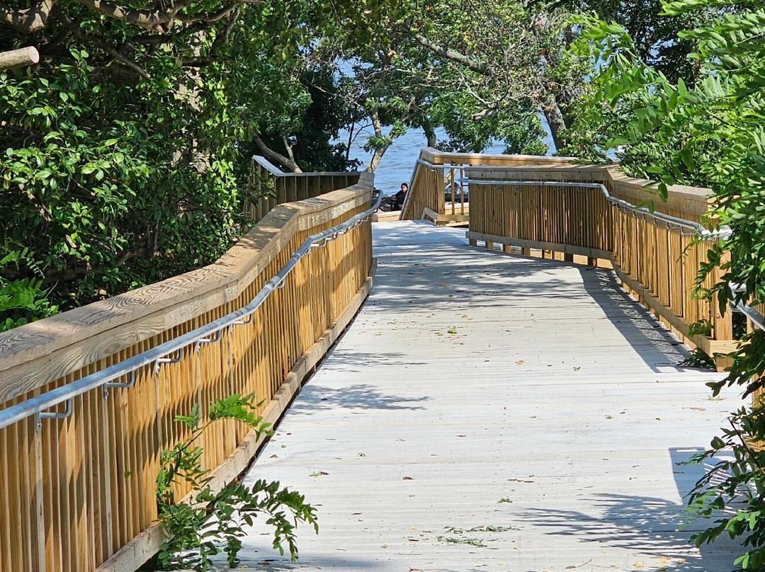 Rocky Point Beach and Park-Essex必去景点