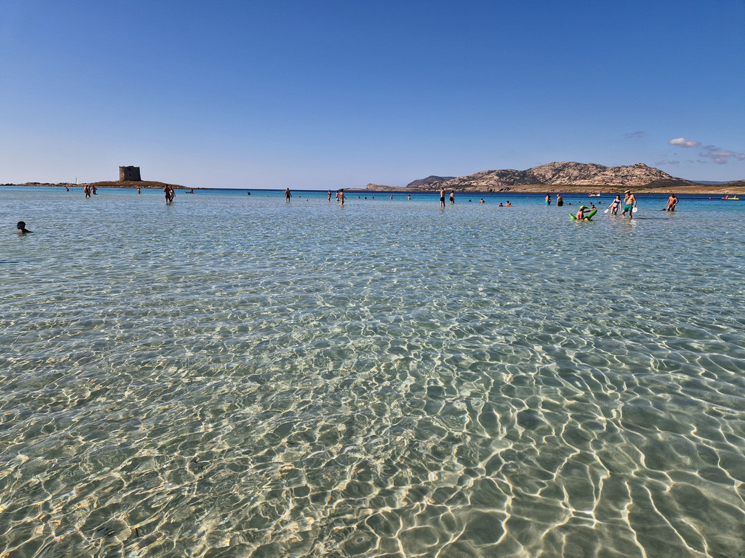 Cala Rosa Club Hotel主图