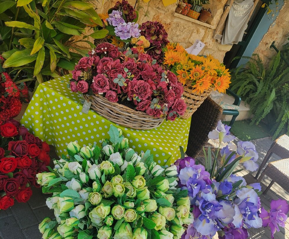 Zihron Ya'akov-Ein Ya'akov必去景点