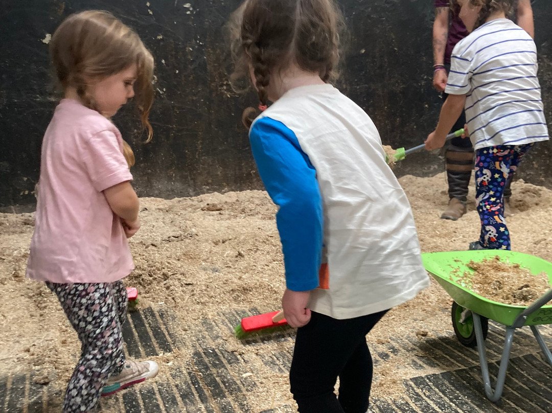 Crindle Stables-Limavady必去景点