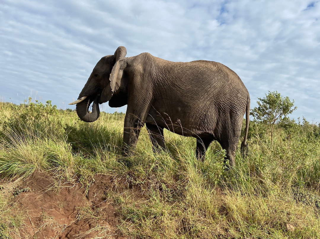 Voluntours Adventures-Kikuyu必去景点