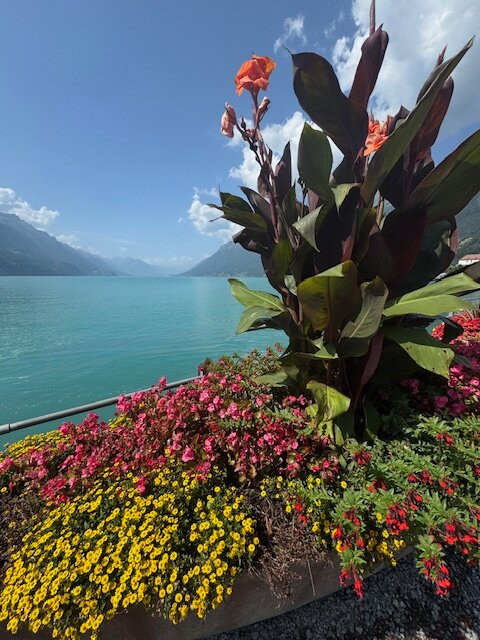 Typically Swiss Tours-卢塞恩必去景点