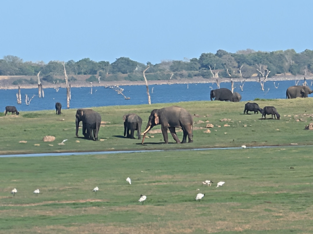 Scenic Ceylon Tours-Polgahawela必去景点