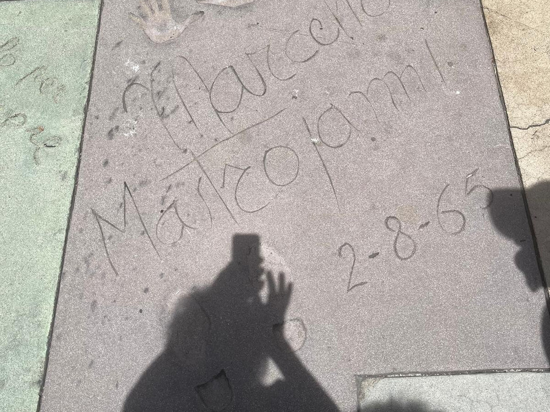 TCL Chinese Theatre-好莱坞必去景点