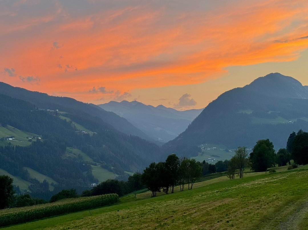 Hotel Lahnerhof主图