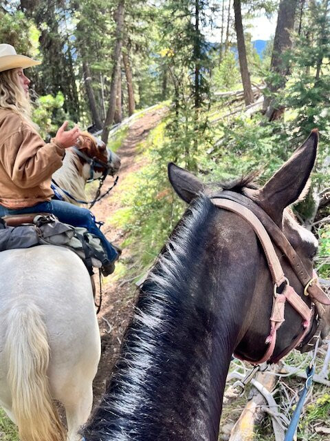 Redfish Lake Corrals- Mystic Saddle Ranch-Stanley必去景点