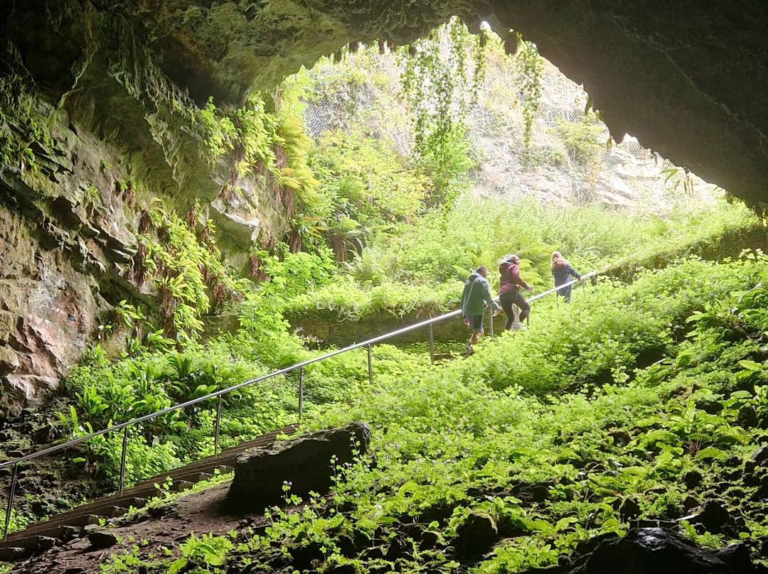 Dunmore Cave-基尔肯尼郡必去景点