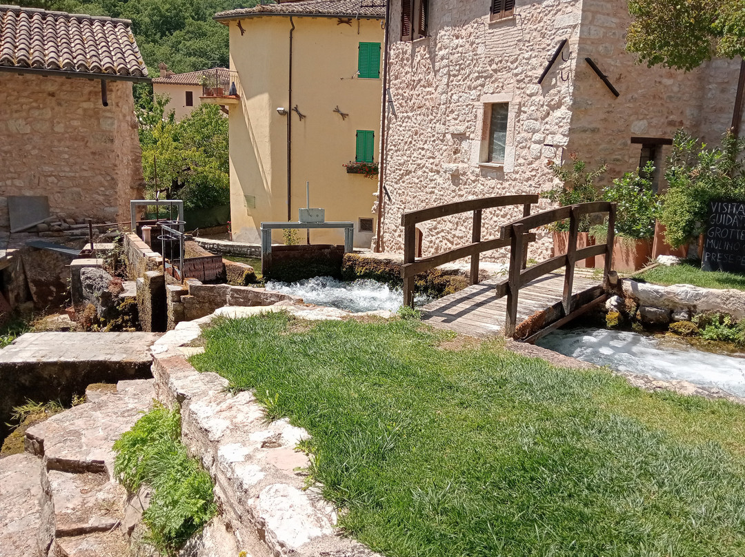 Ex Mulino Silvestri E Accorimboni