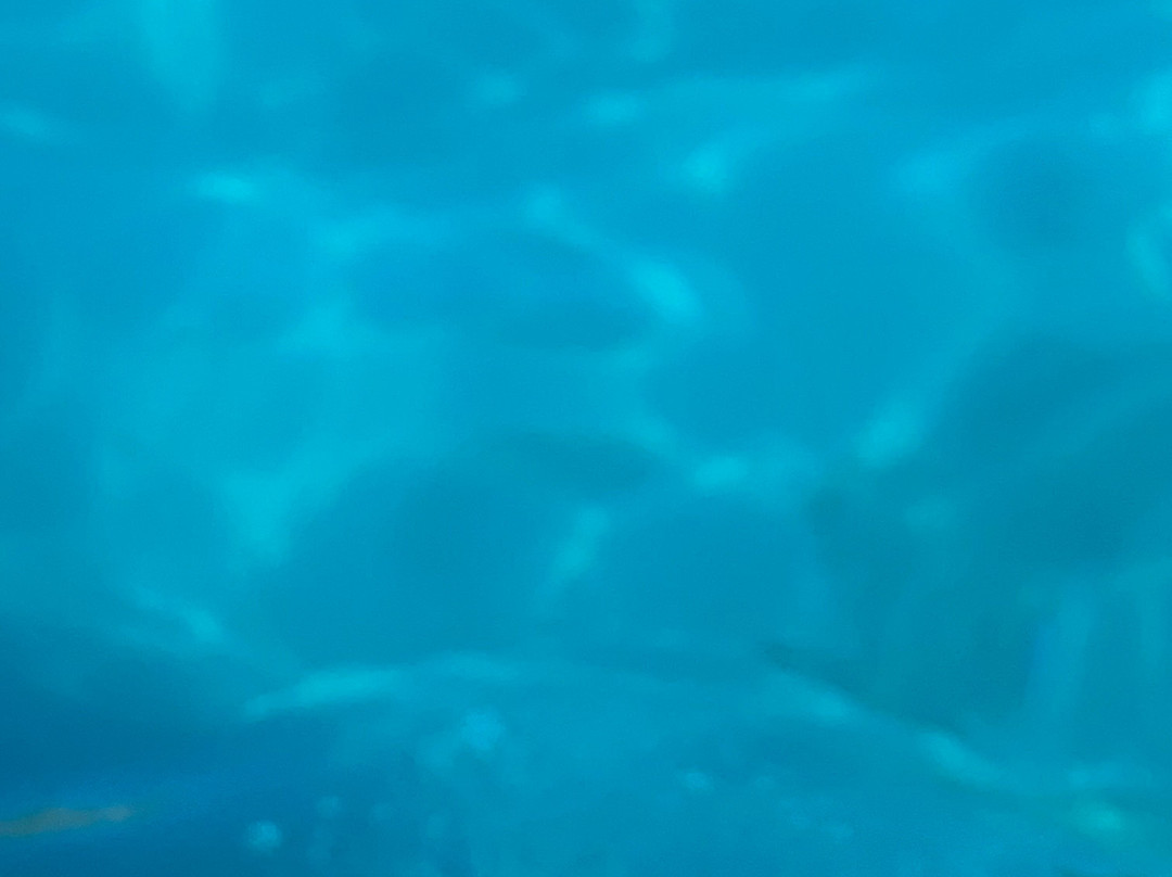 Rodos Fishing Activities-Haraki必去景点