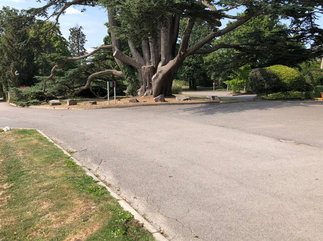 水晶布里斯托尔北部农庄酒店主图