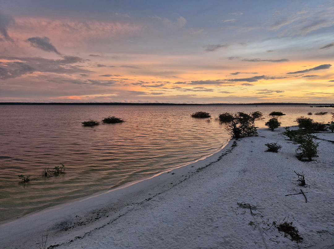 Selvagem Tours-Alter do Chao必去景点