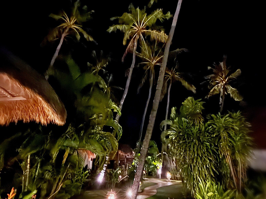 阿姆德棕榈花园海滩水疗度假村主图