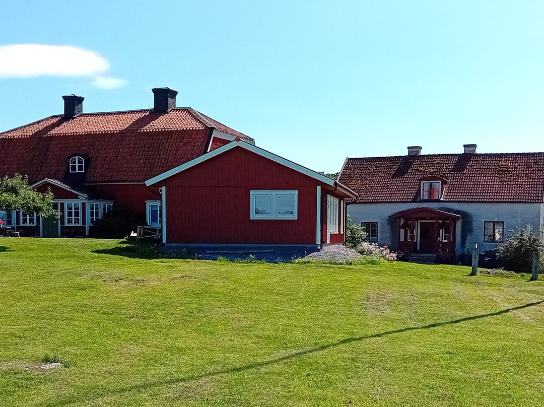 霍高尔登-Bjorko必去景点