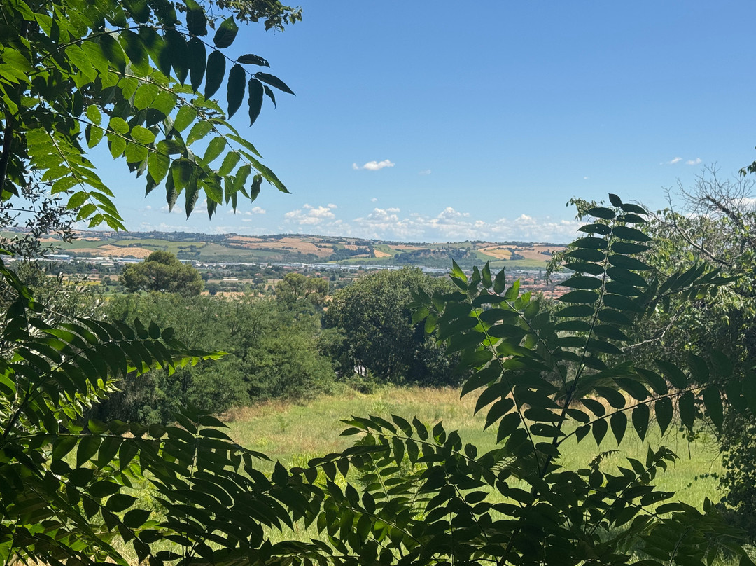 Villa Mariotti/Agriturismo Monte Giove主图