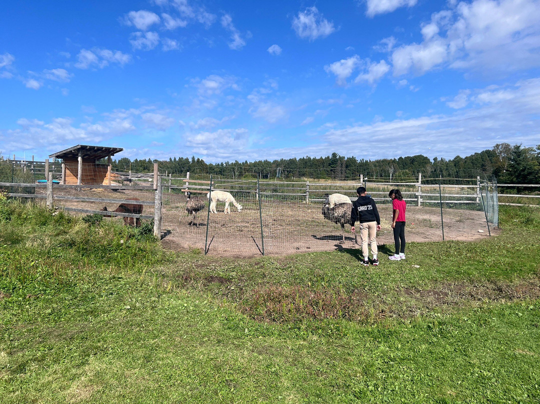 Harmony Acres Ranch & Petting Farm-Cornville必去景点