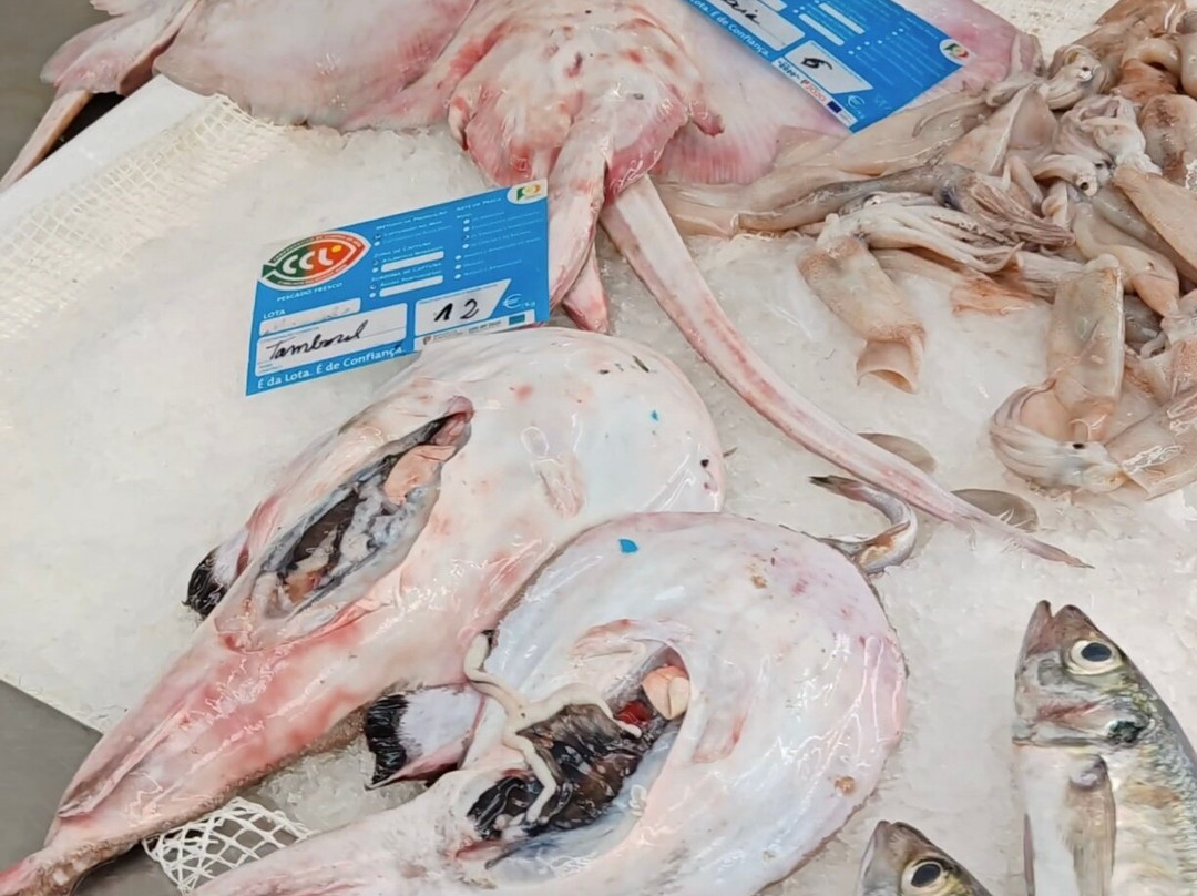 Mercado Municipal de Matosinhos-马托西纽什必去景点