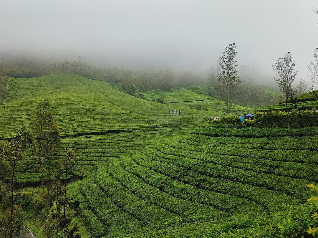 Munnar Angel Cabs-慕那尔必去景点