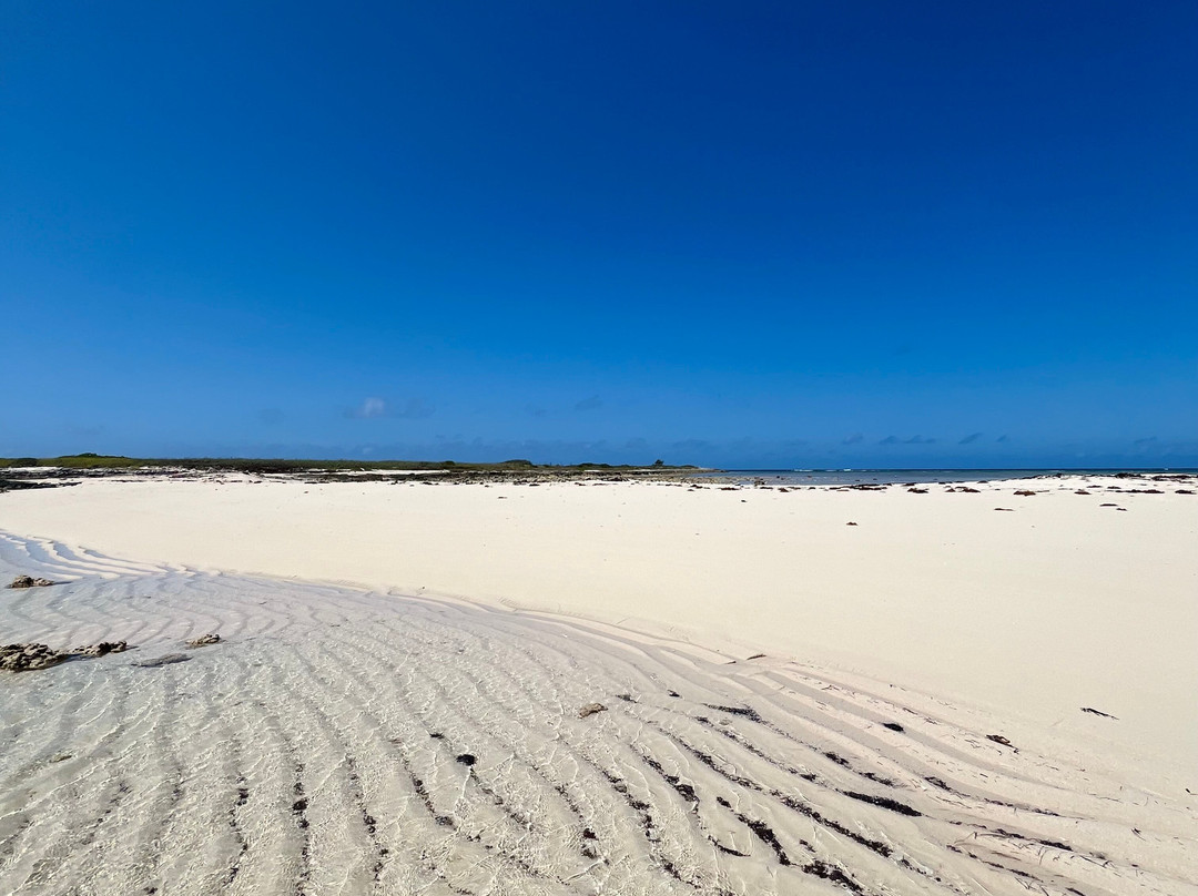 Columbus Isle Excursions-San Salvador必去景点