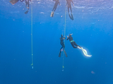 Fluid Focus Freedive Lembongan-蓝梦岛必去景点