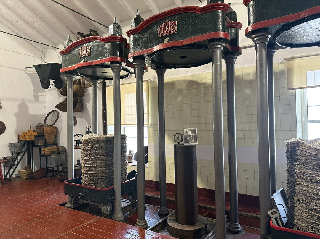 Oleícola San Francisco-Begijar必去景点