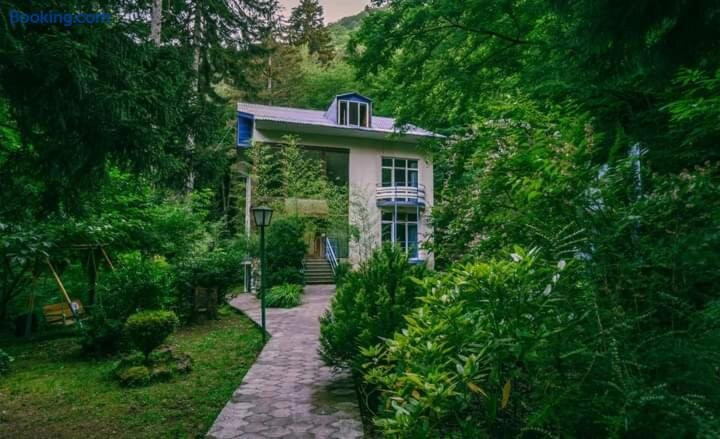 Akhaldaba酒店住宿-Nunisi Forest Hotel & Spa