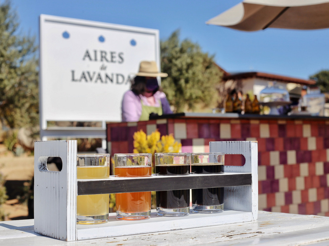 Aires de Lavanda-Valle de Guadalupe必去景点