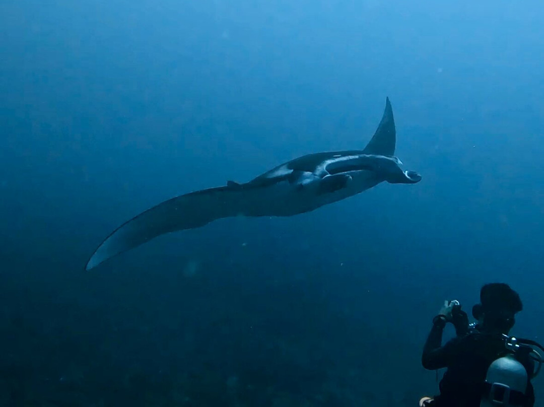 Dune Penida Dive Center-珀尼达岛必去景点