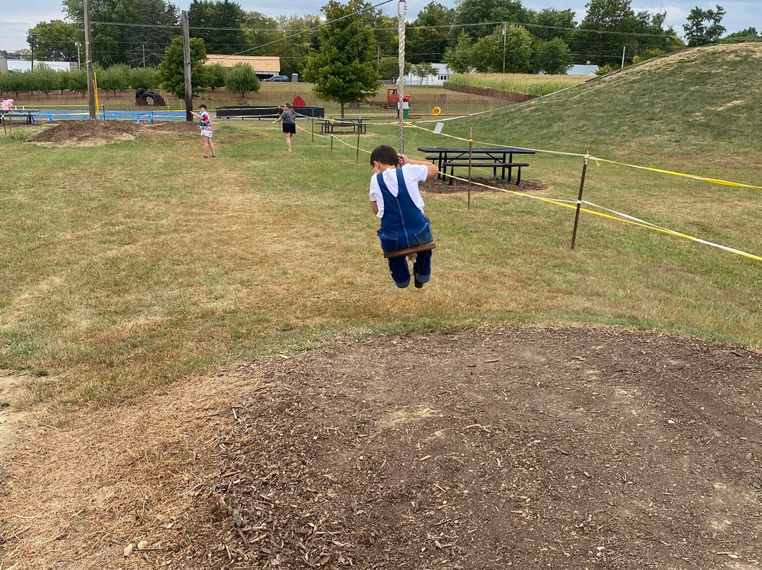 Today's Harvest-New Paris必去景点