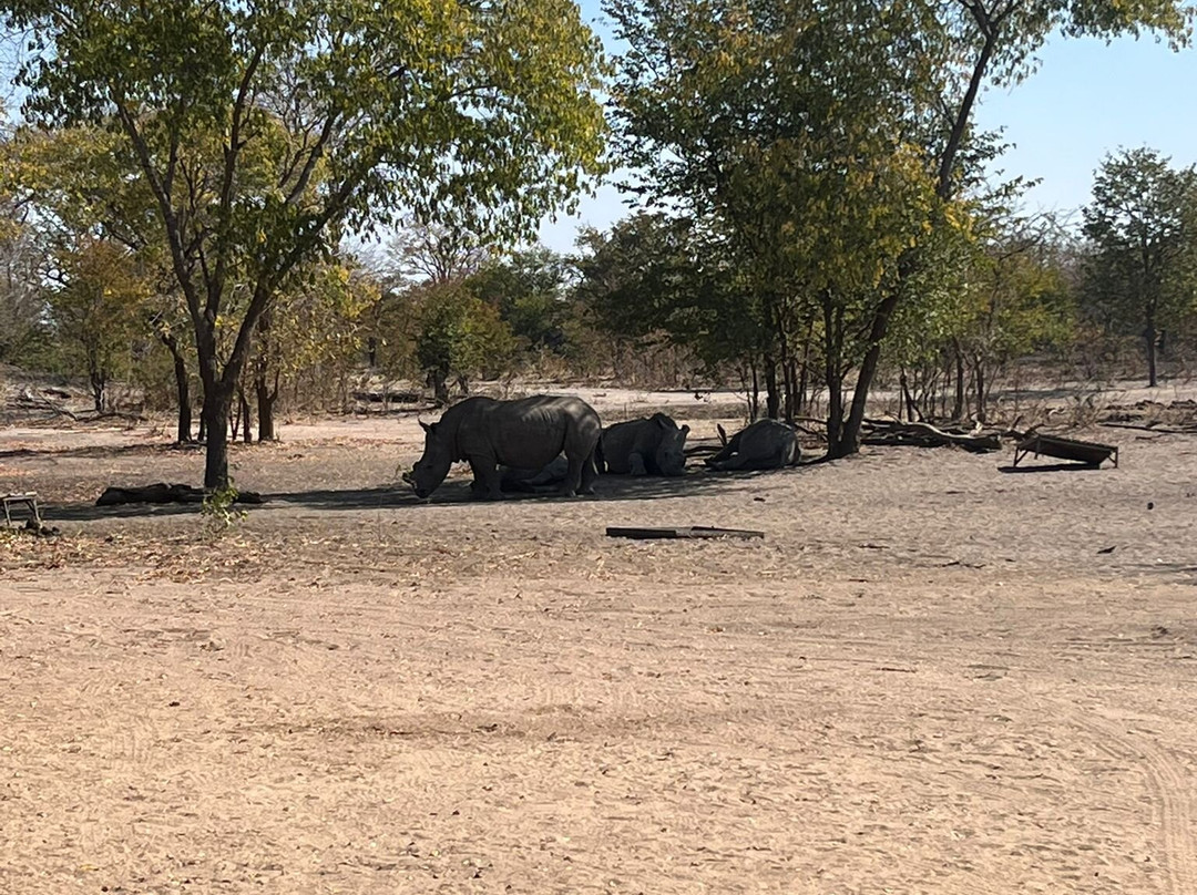 Sukulu Reserve-李文斯顿必去景点