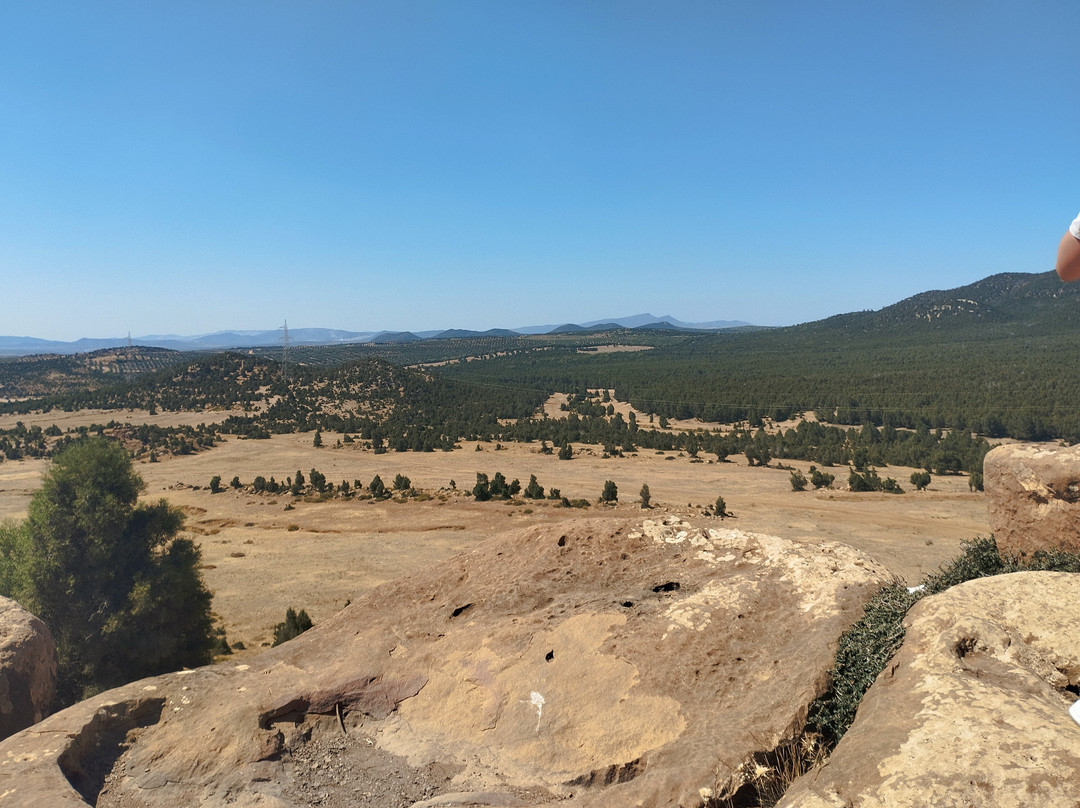 Salma Evasion Quad Hammamet-哈玛麦德必去景点