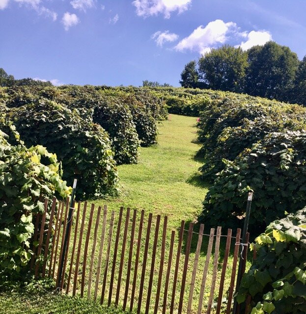 Jeter Mountain Farm-亨德森维尔必去景点