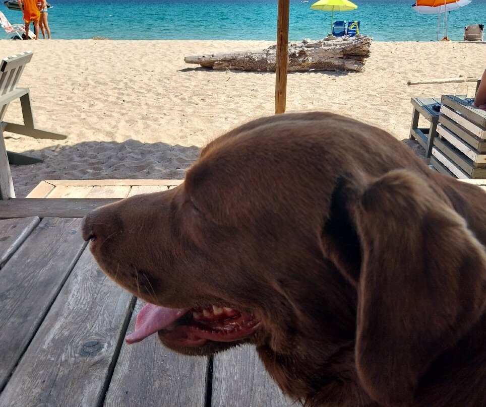 Spiaggia di Su Barone-奥罗塞必去景点